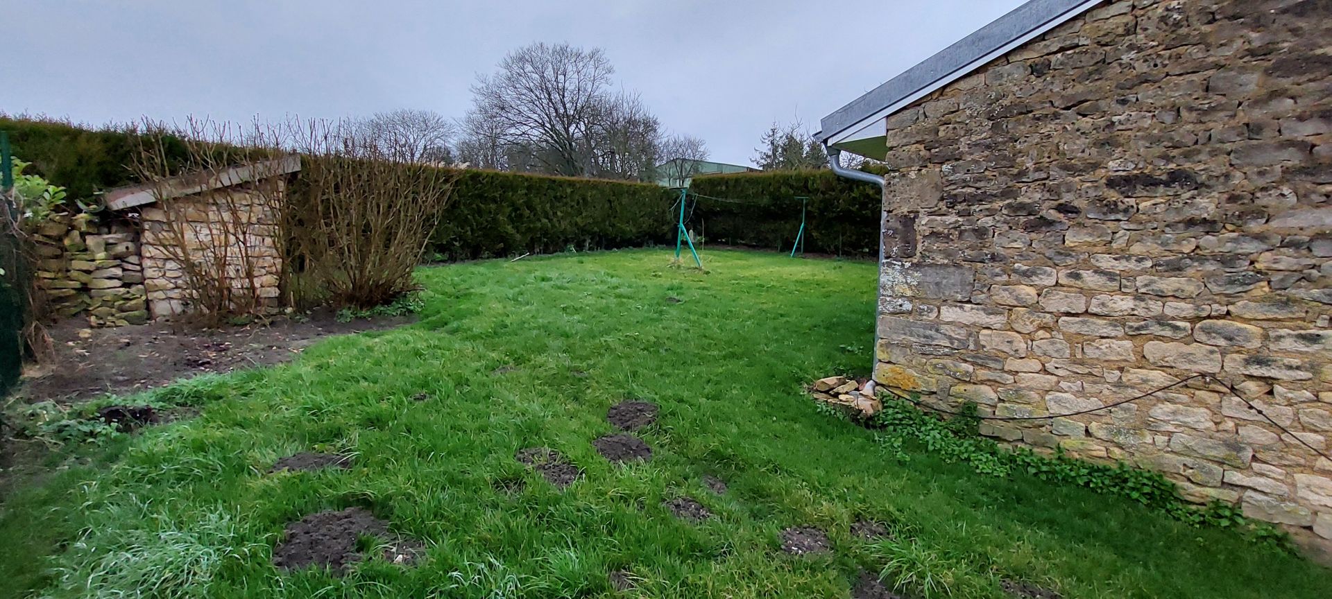 Image 8
