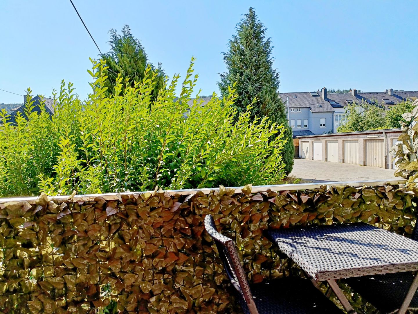 Image 6