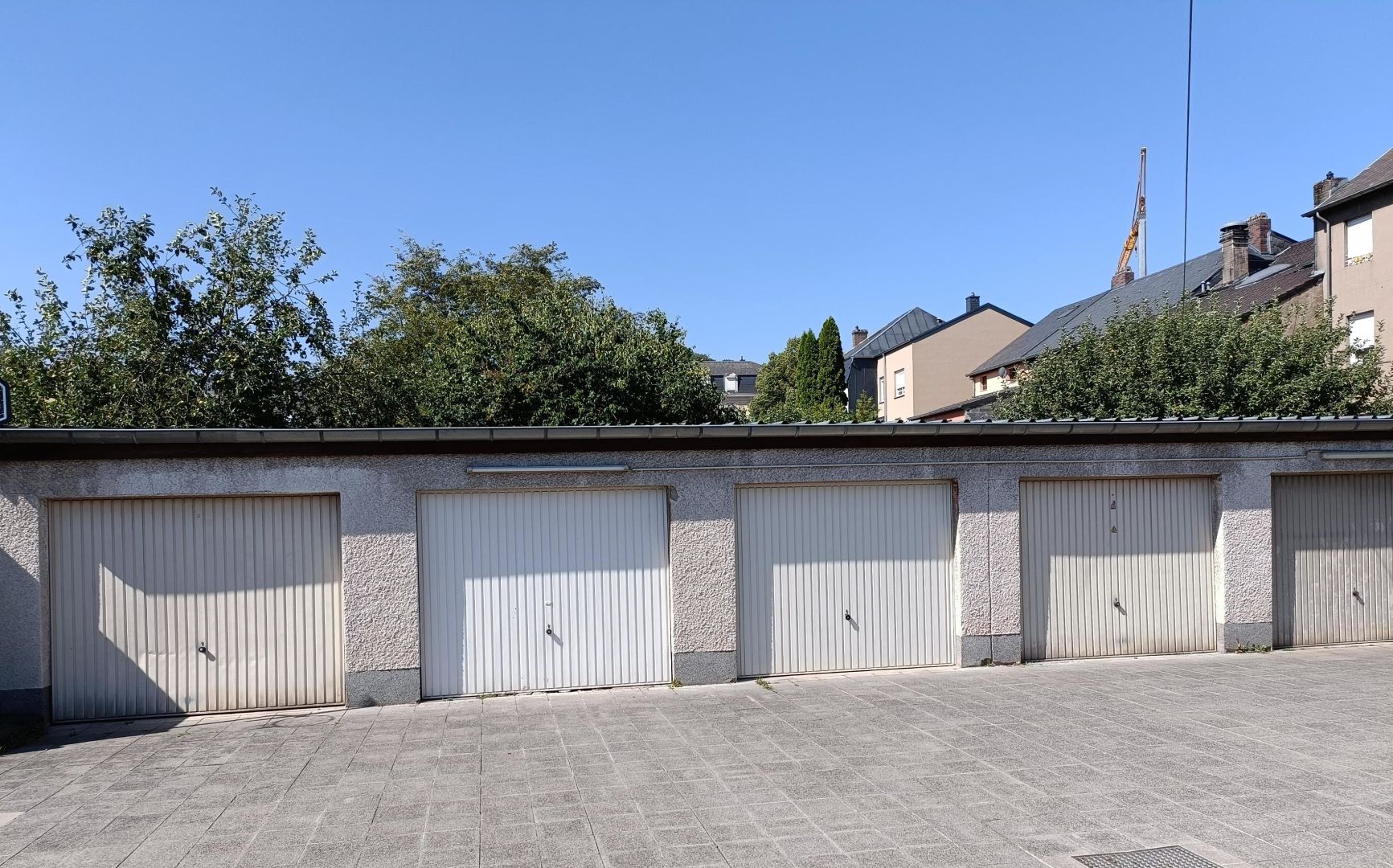 Image 12