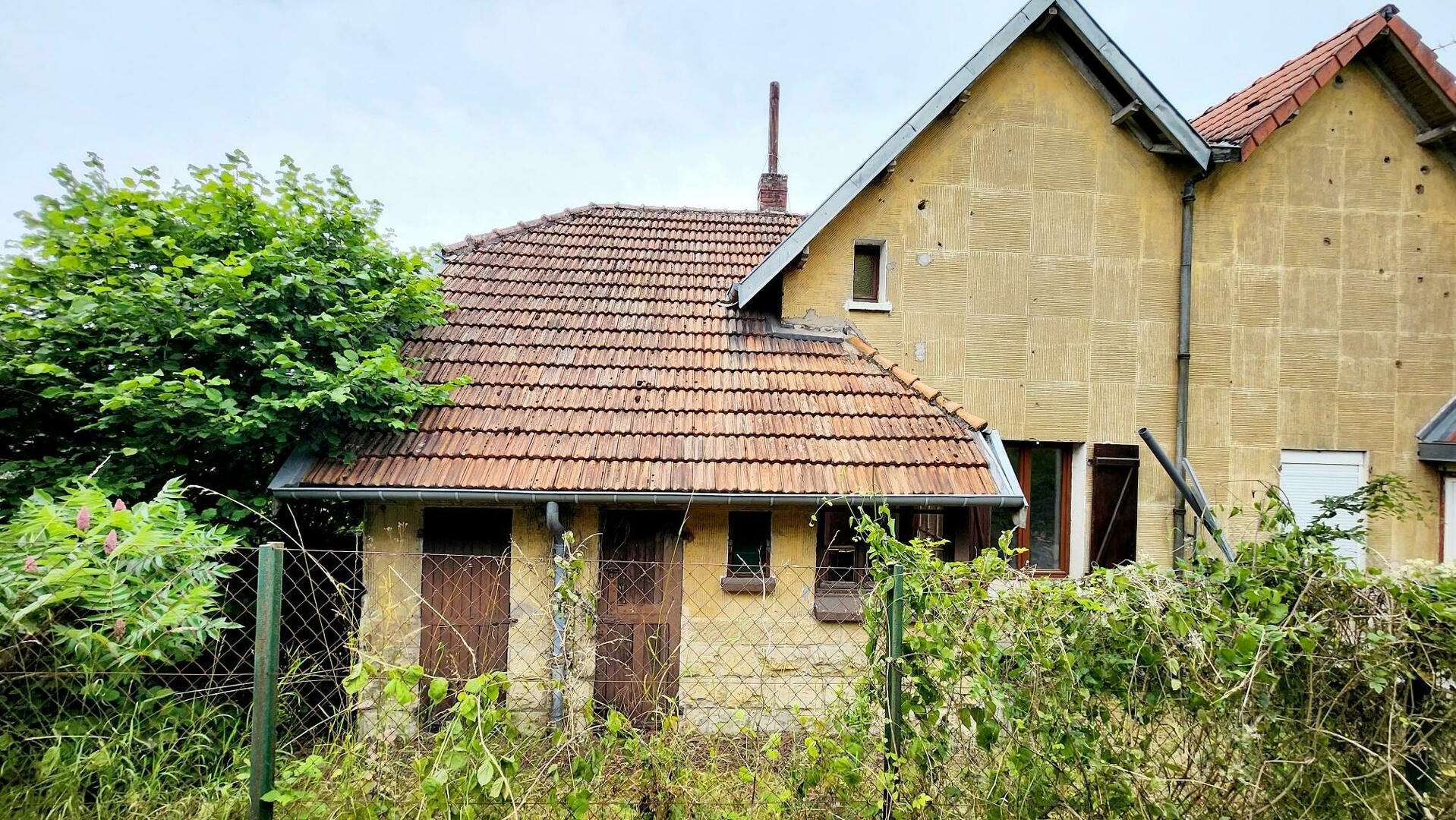 Image 11