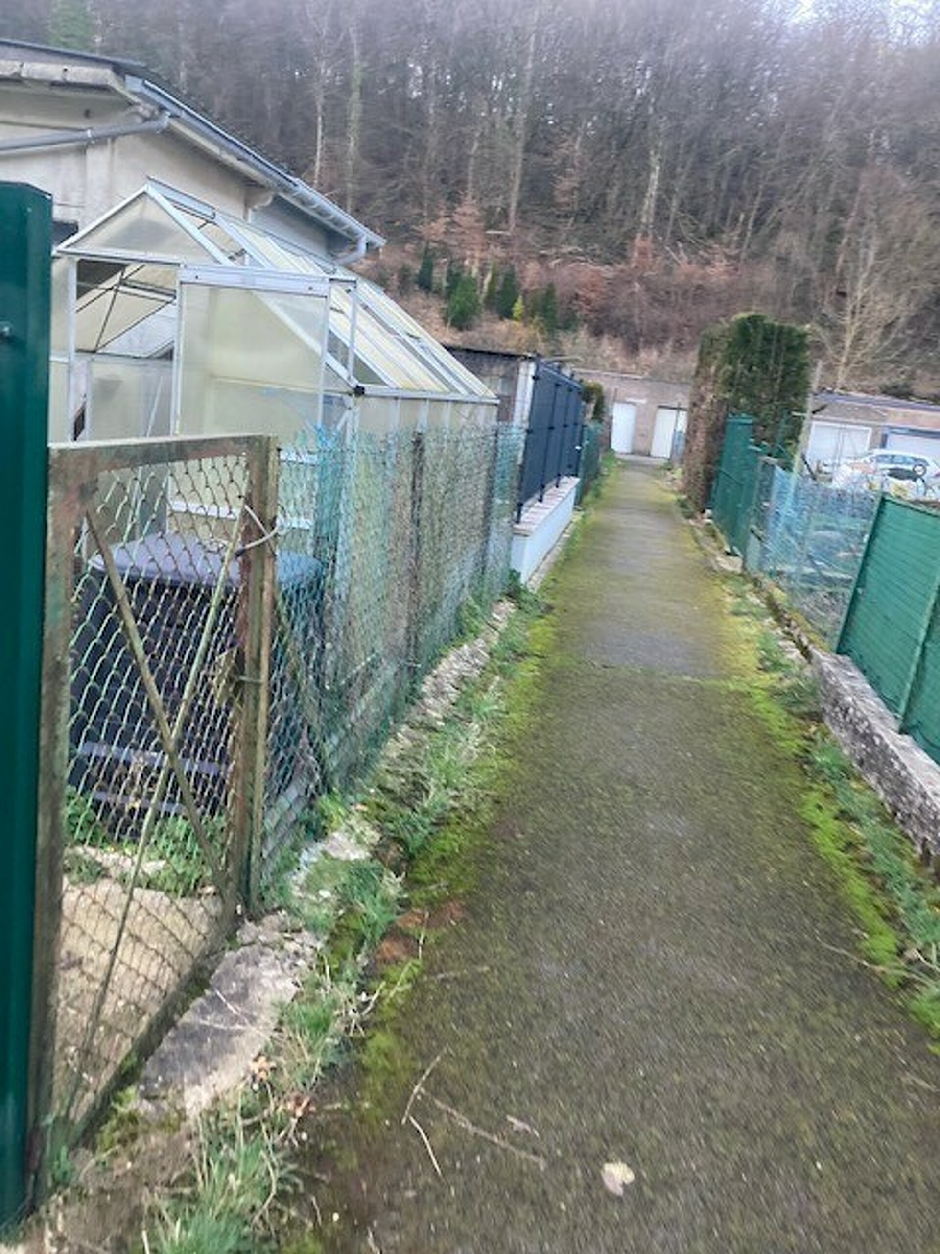 Image 9