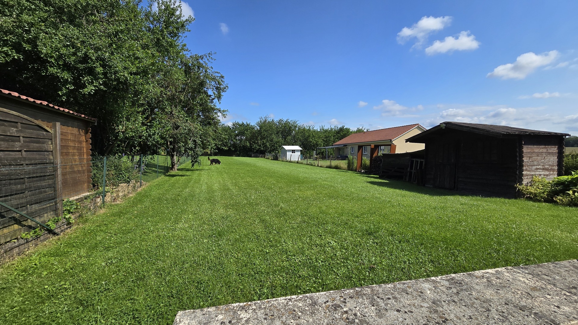Image 6