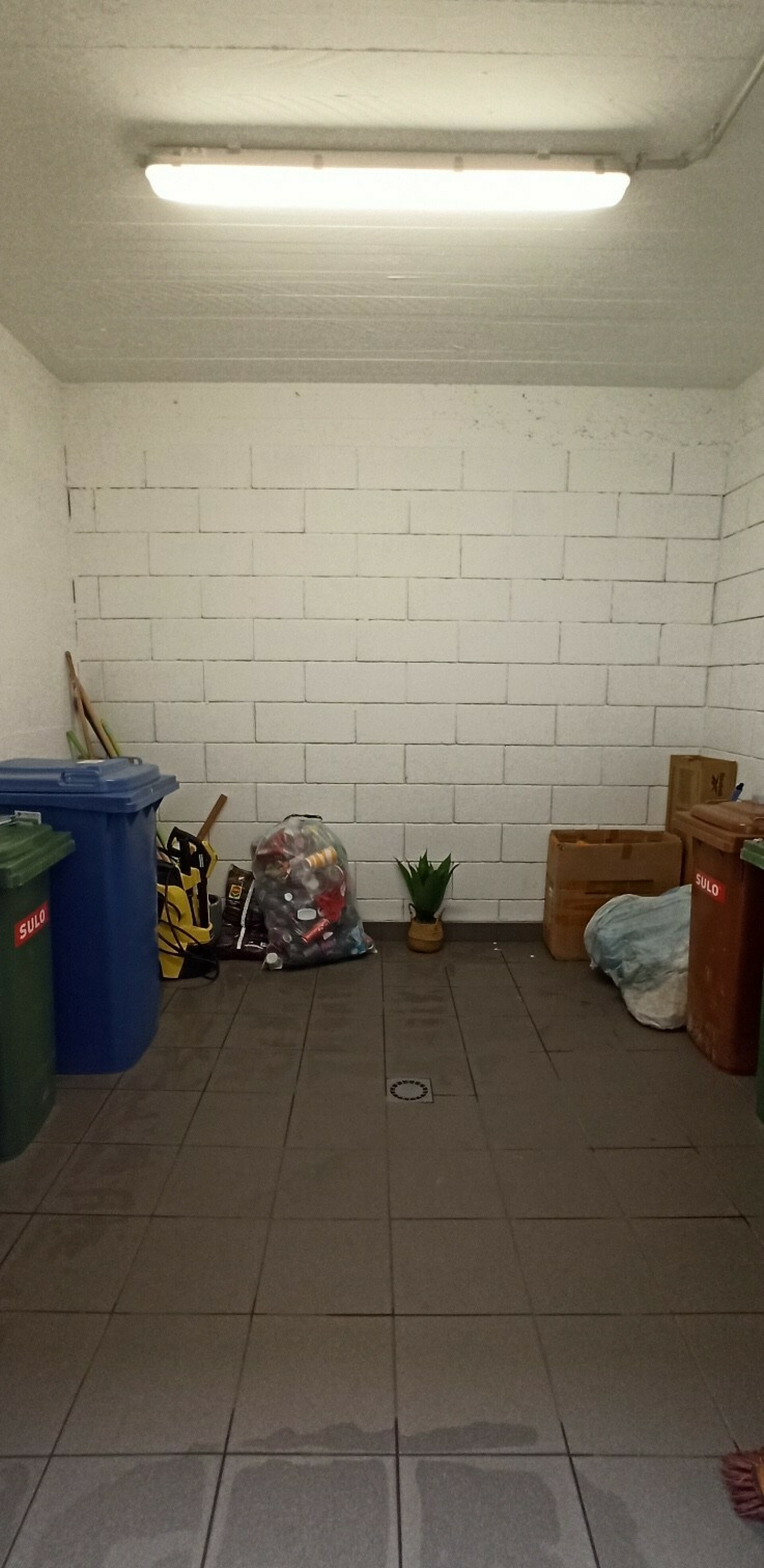 Image 13