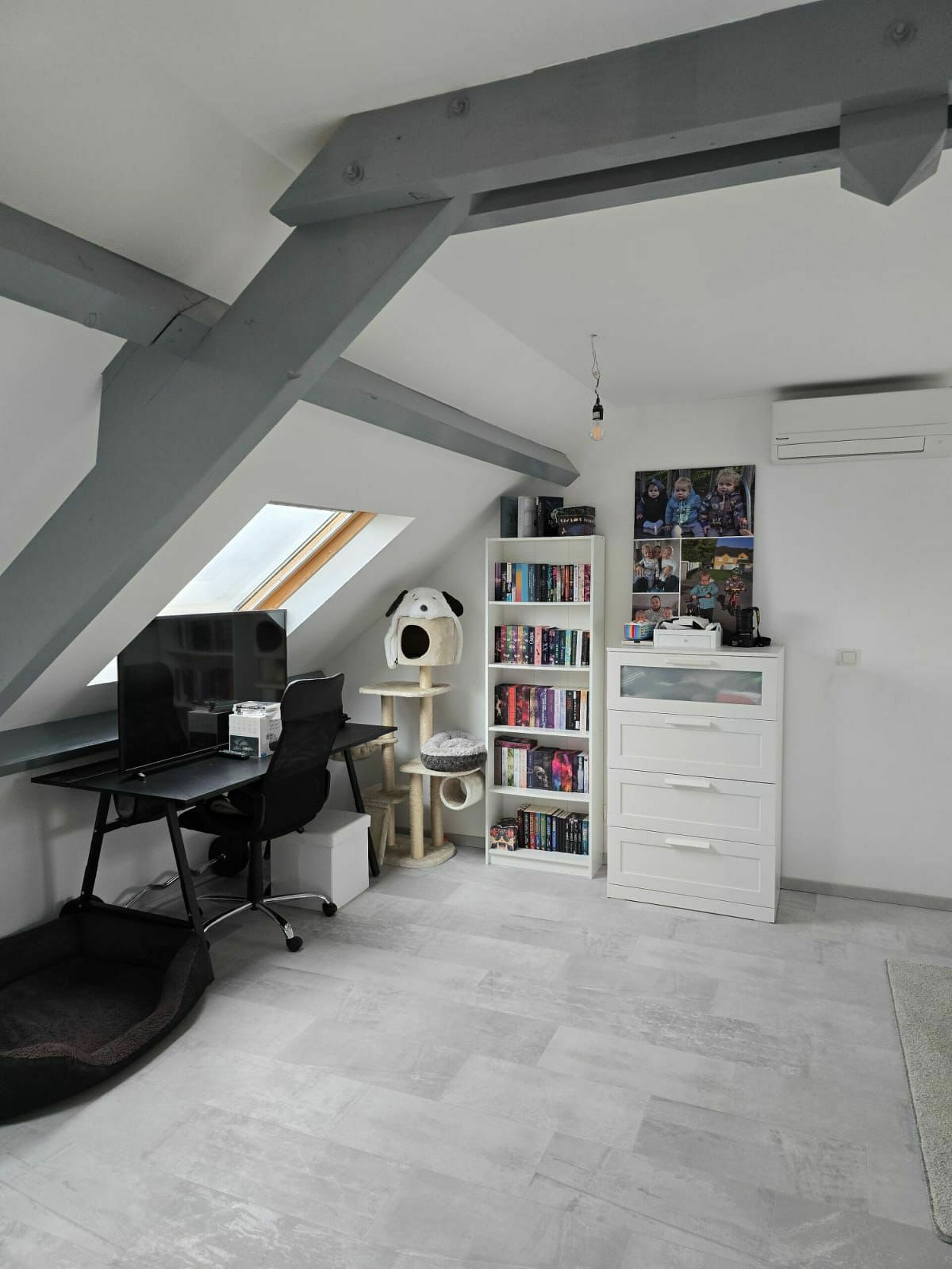Image 12