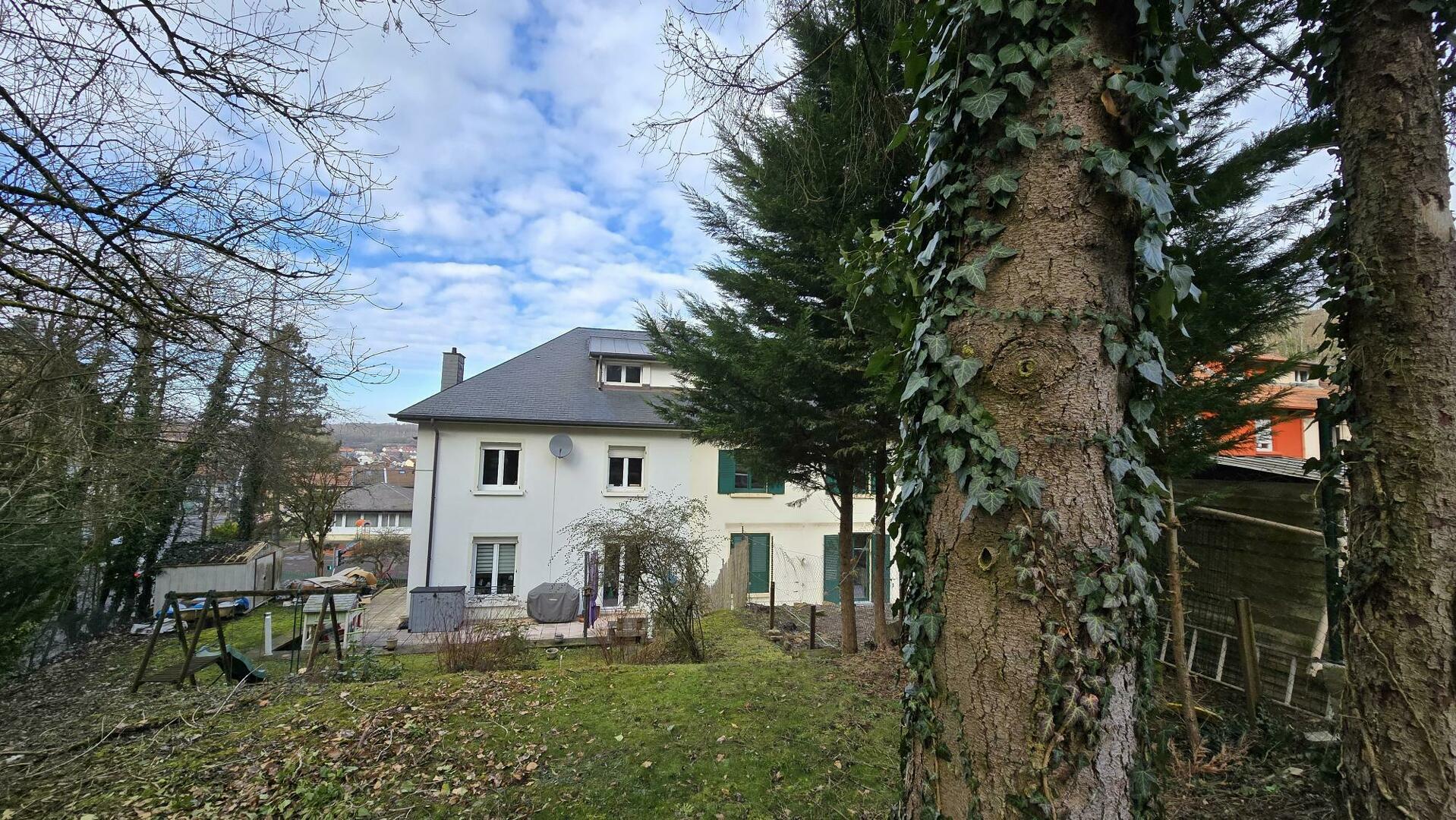 Image 13