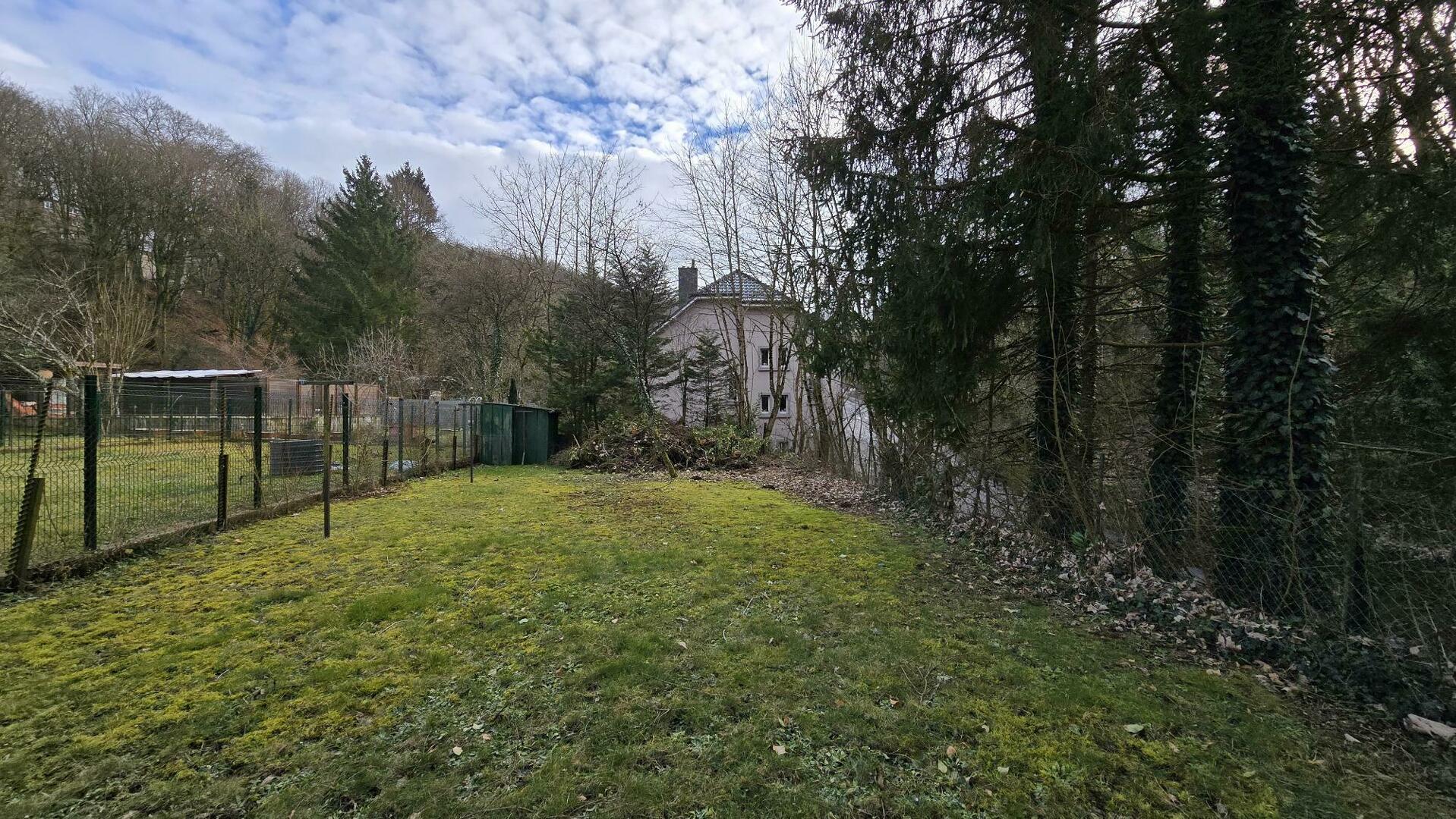 Image 14