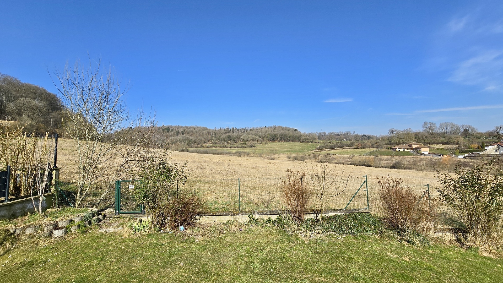 Image 15