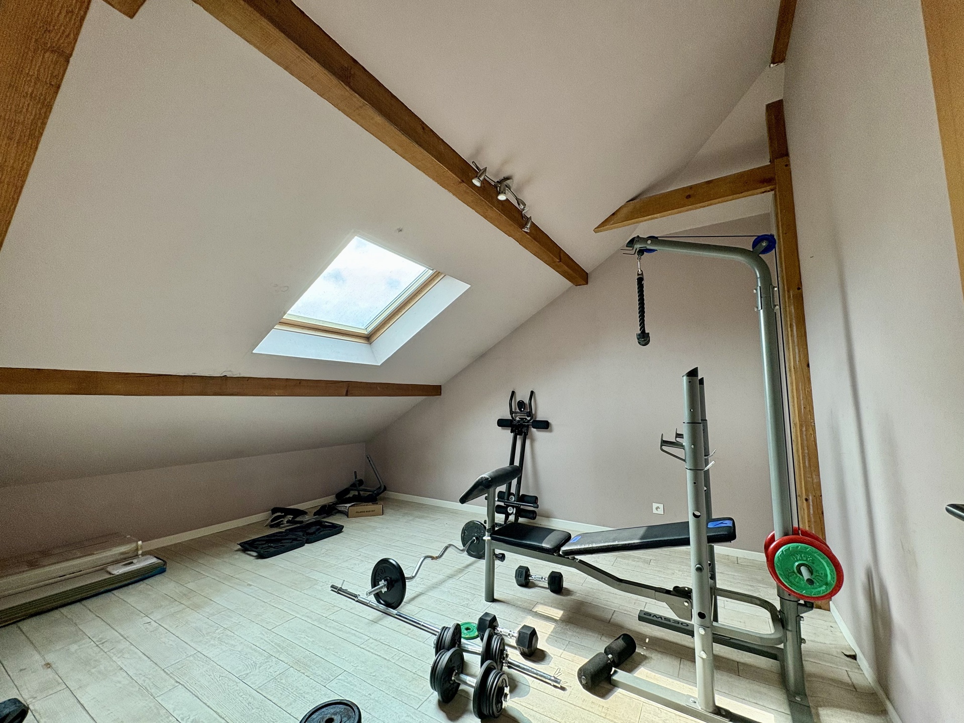Image 12
