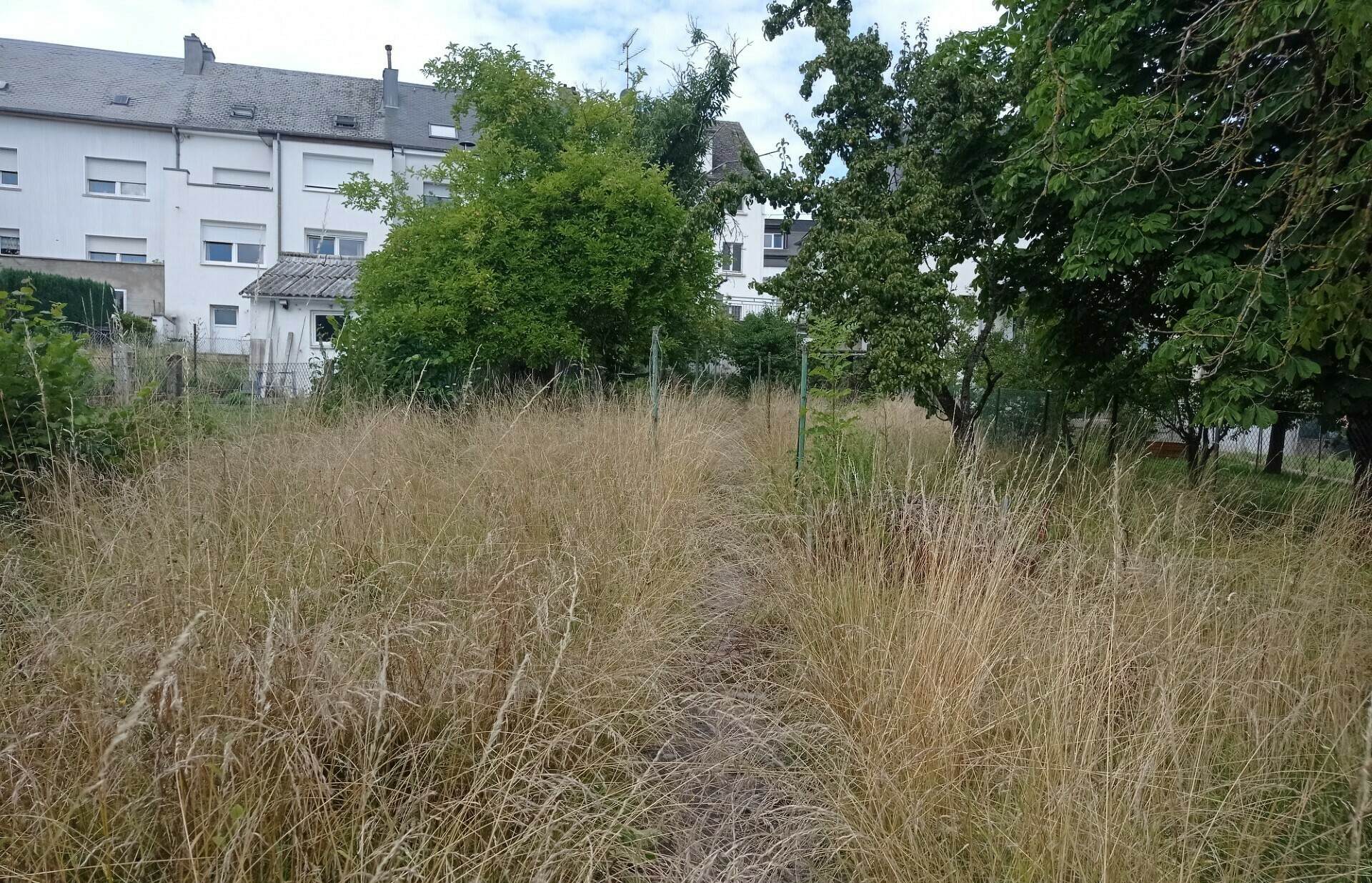 Image 18