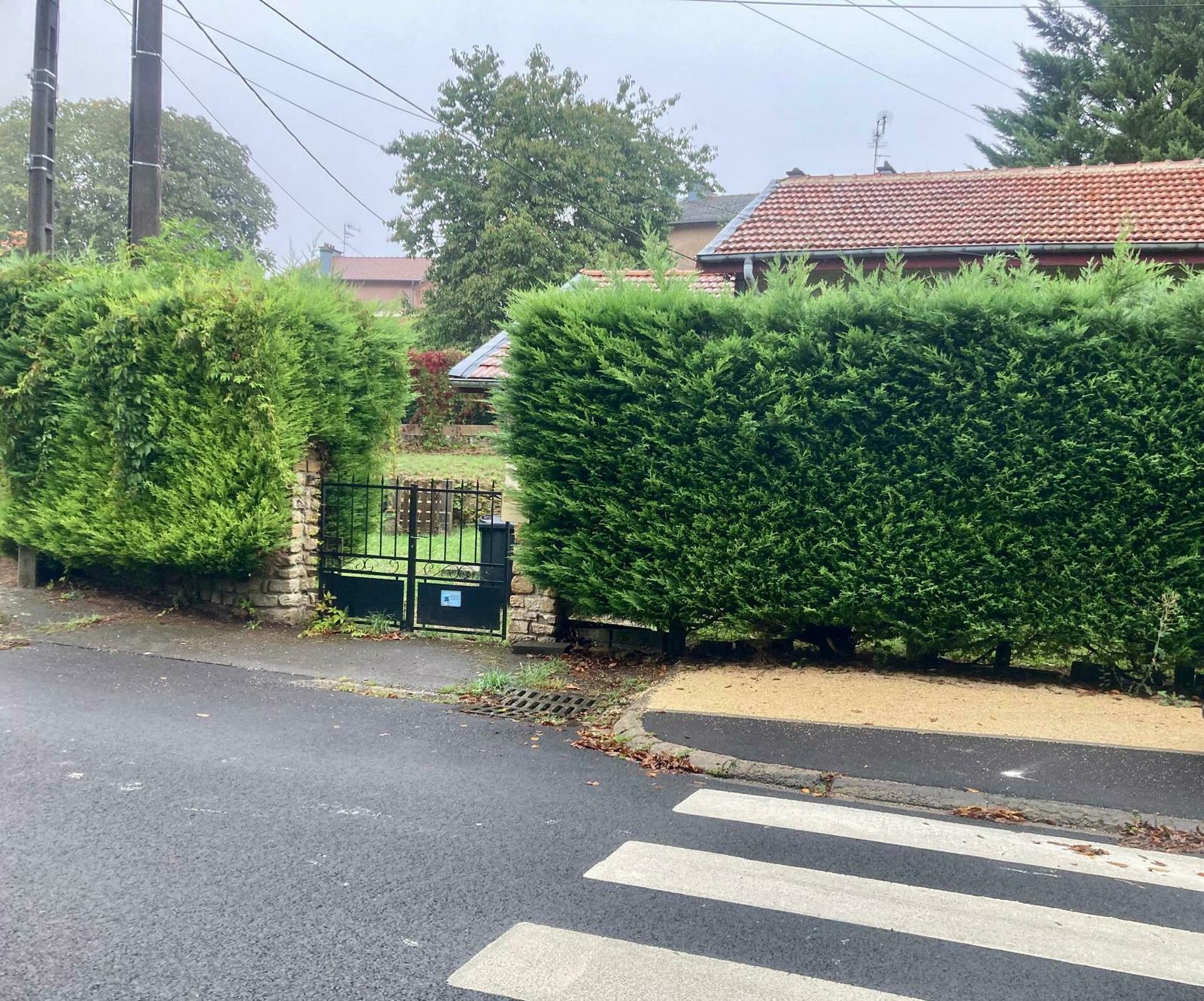 Image 8