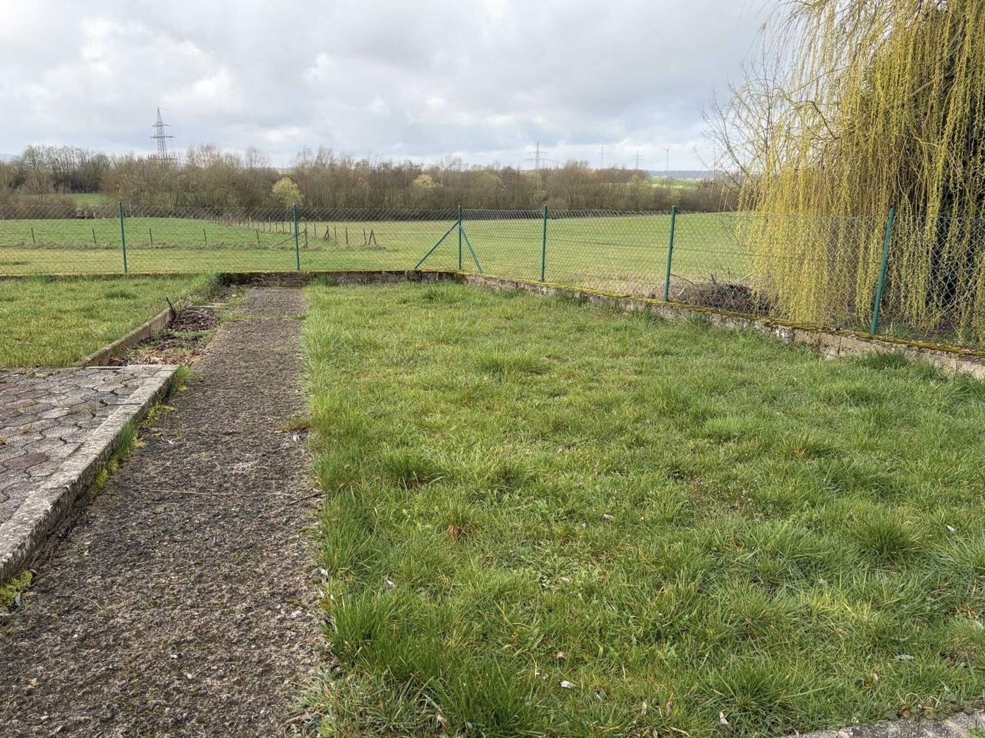 Image 13