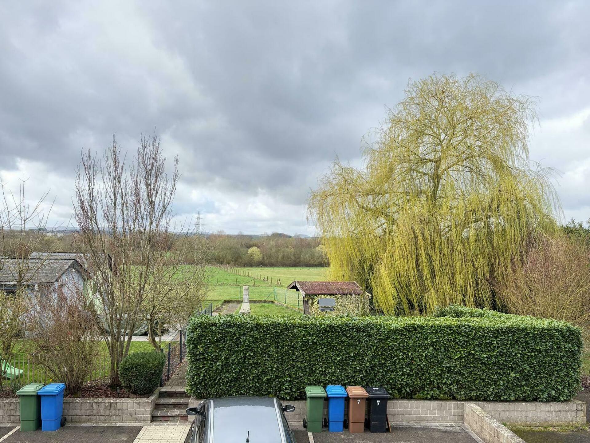 Image 14