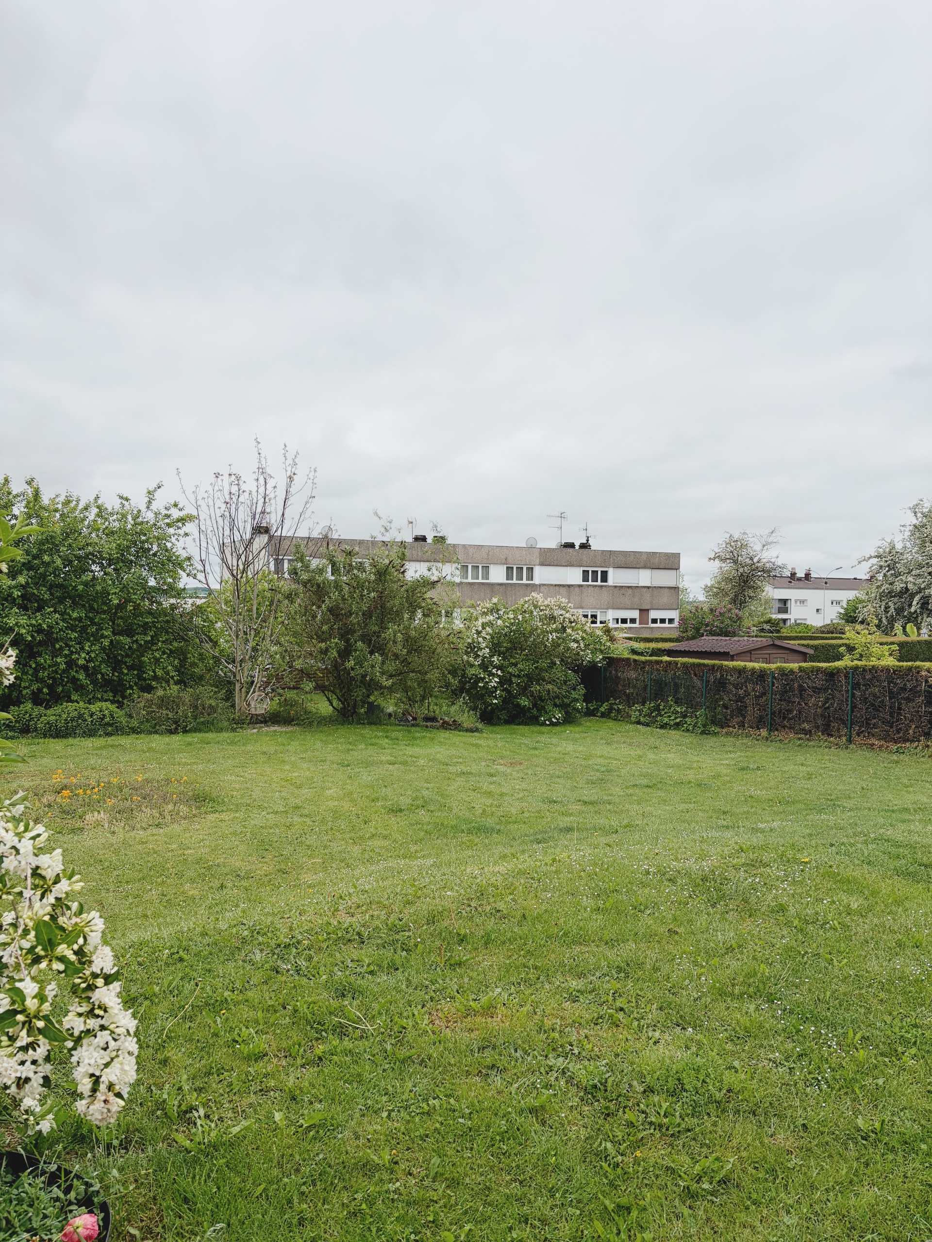 Image 13