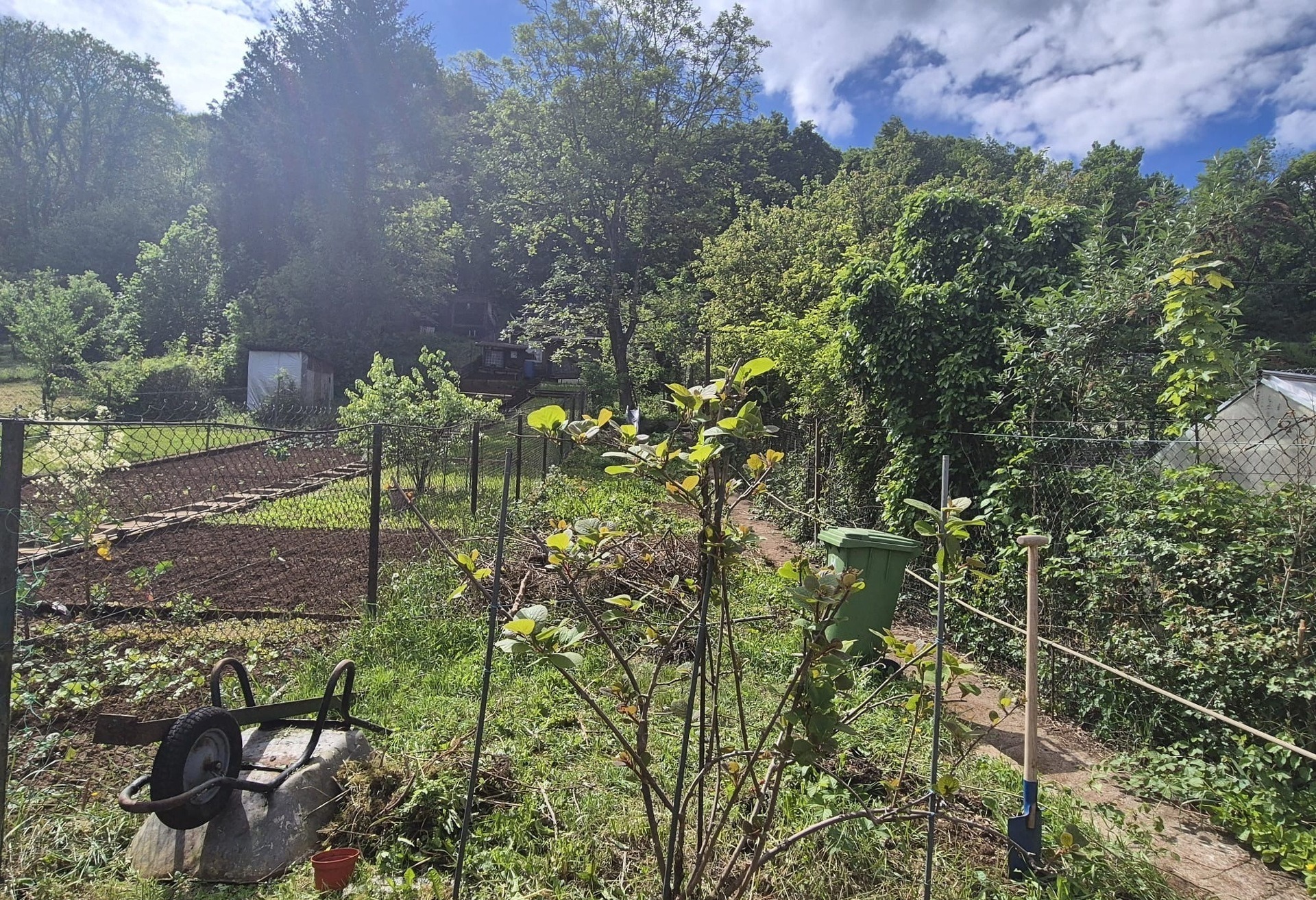 Image 11