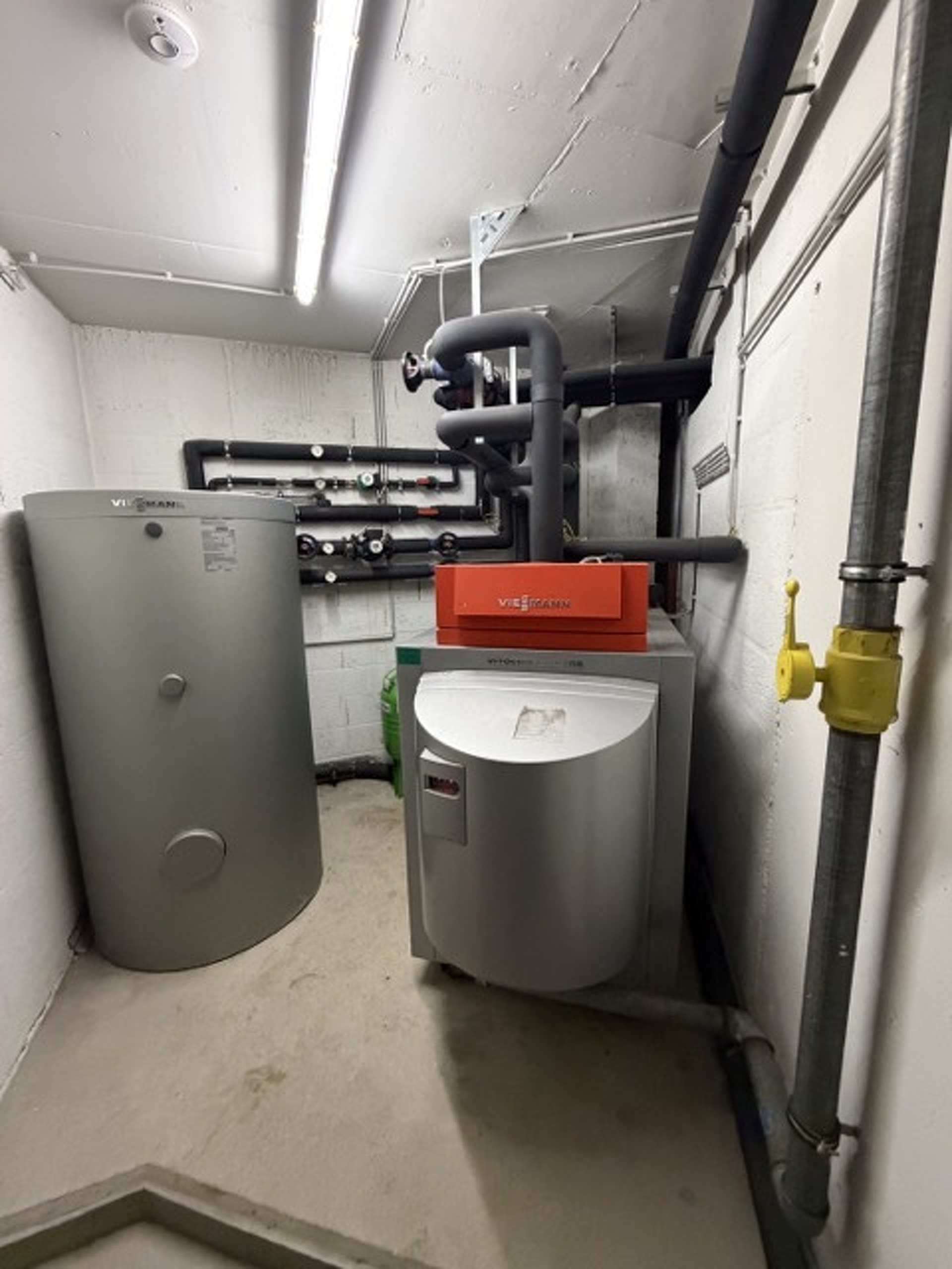 Image 11