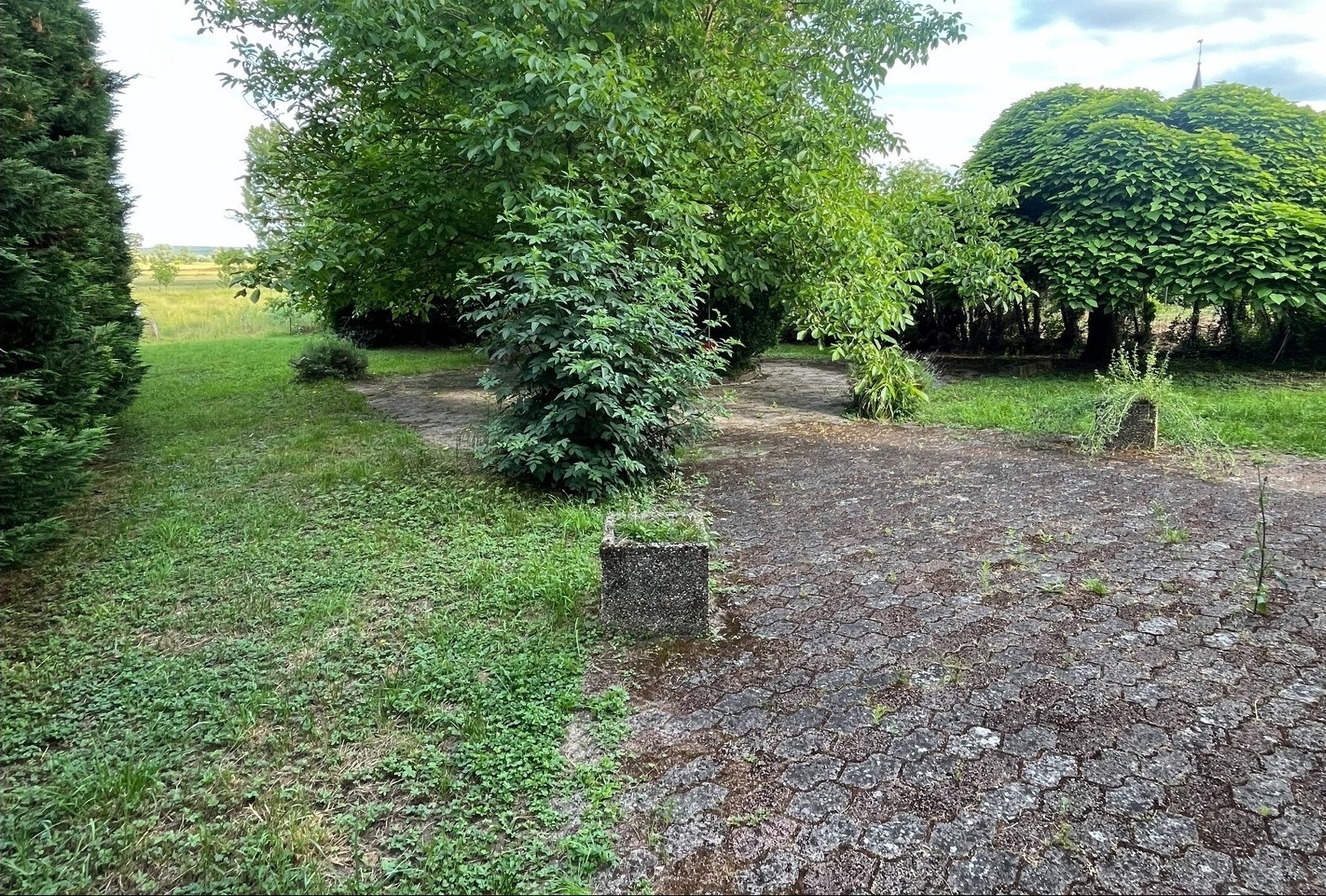 Image 9