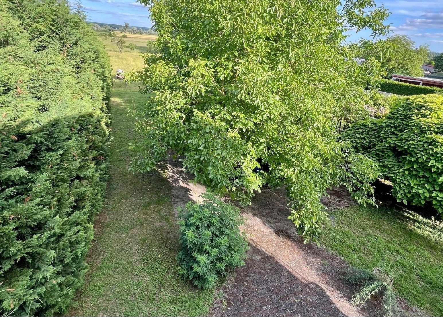 Image 10